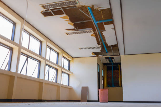 Best Water damage cleanup near me  in Vine Hill, CA