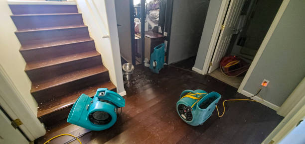 Best Water damage restoration near me  in Vine Hill, CA