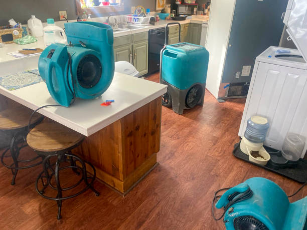 Best Flood damage cleanup  in Vine Hill, CA