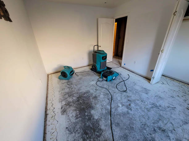 Best Flood restoration services  in Vine Hill, CA