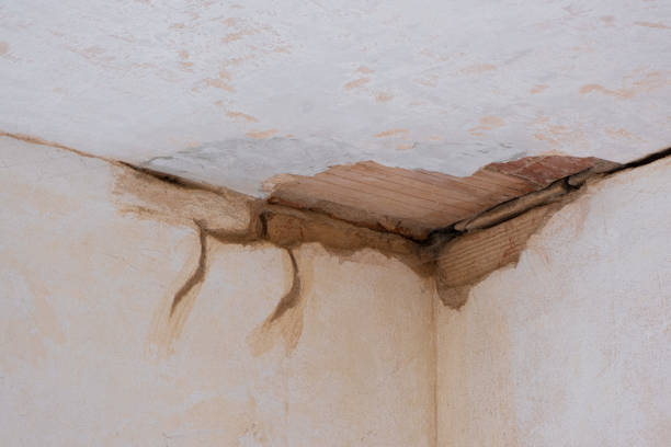 Best Ceiling water damage repair  in Vine Hill, CA