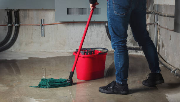 Best Water damage restoration specialists  in Vine Hill, CA