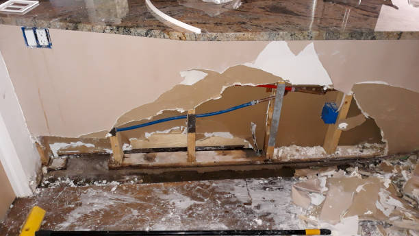 Best Ceiling water damage repair  in Vine Hill, CA