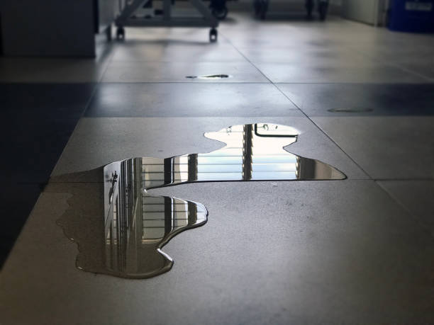 Best Professional water damage repair  in Vine Hill, CA