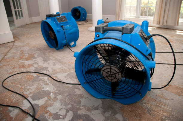 Best Local water damage restoration  in Vine Hill, CA