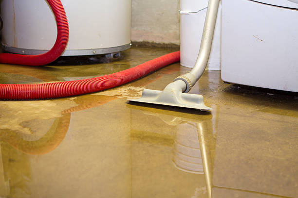 Carpet water damage restoration in Vine Hill, CA