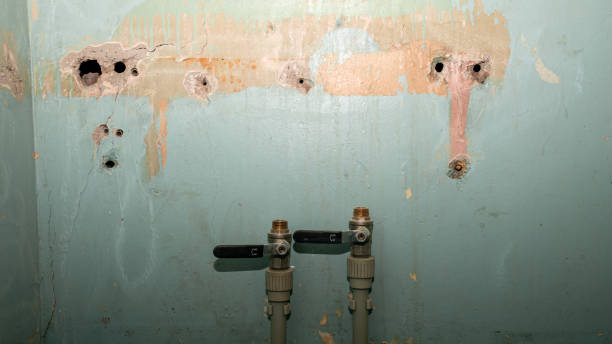  Vine Hill, CA Water damage restoration Pros